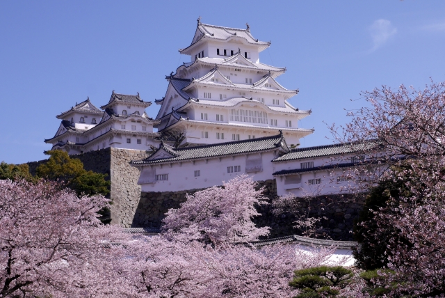 姫路城桜祭りの花見2019の見頃満開時期と開花予想！ライトアップ時間と屋台、混雑