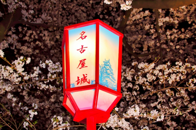 名古屋城の夜桜ライトアップ