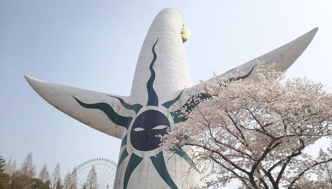 万博記念公園桜祭りの花見2020の見頃はいつから？現在の開花状況とライトアップ情報