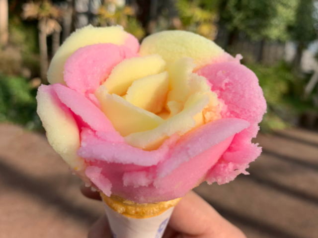 千秋公園桜まつりの出店のババヘラアイス