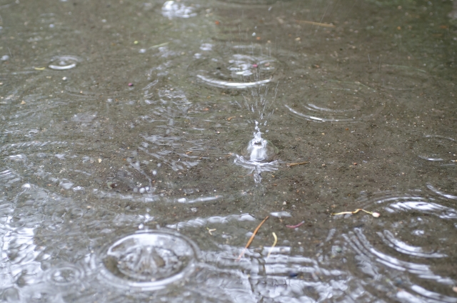 沼津の狩野川花火大会2019は雨でも開催？雨天中止？延期有無や天気予報と台風情報